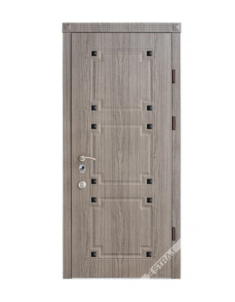 Двері Страж Classic Monogram
