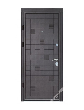 Двері Страж Synergy Caskad Plus