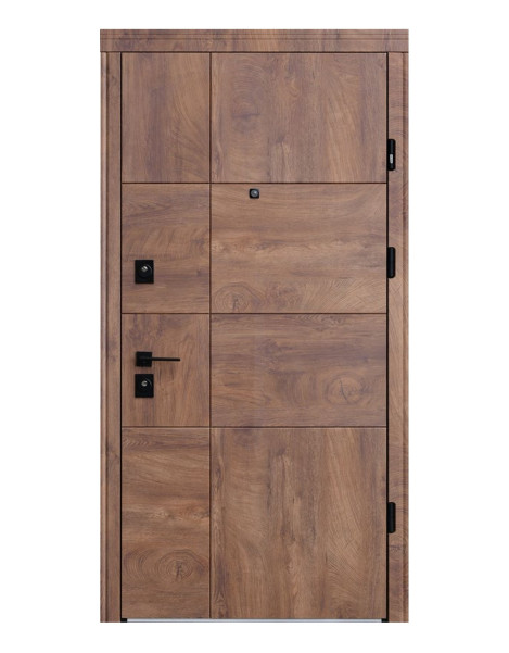 Двері Страж Lux Terra S New