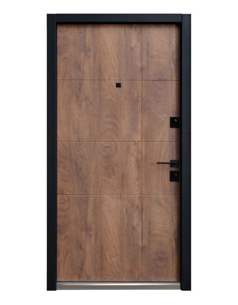 Двері Страж Lux Terra S New