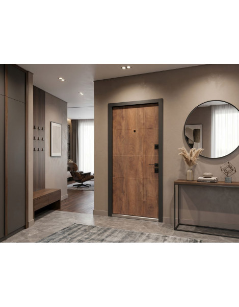 Двері Страж Lux Terra S New
