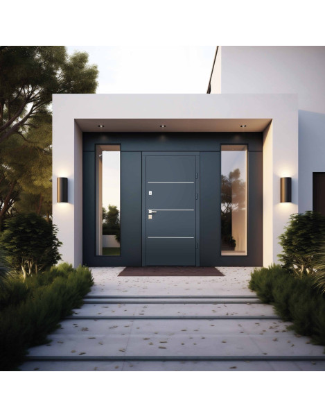 Двері Страж Optima Street Giada D