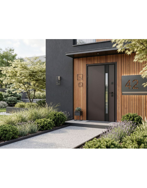 Двері Страж Optima Street Rio S (RAL 8019)