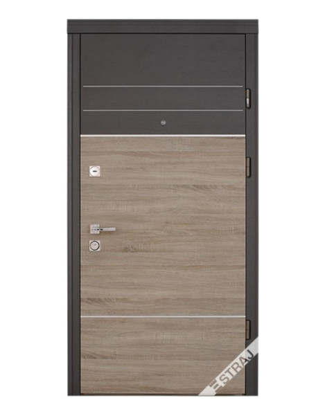 Двері Страж Synergy Torino