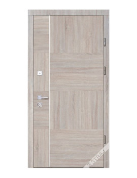 Двері Страж Synergy Terra S