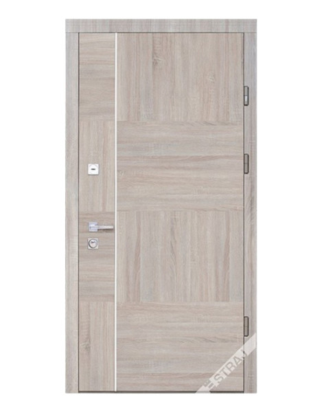 Двері Страж Synergy Terra S