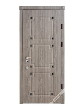 Двері Страж Classic Monogram
