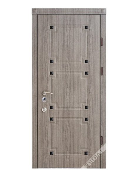 Двері Страж Classic Monogram