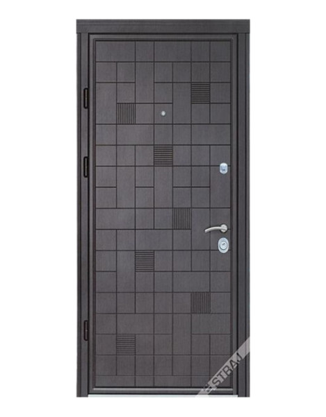 Двері Страж Synergy Caskad Plus